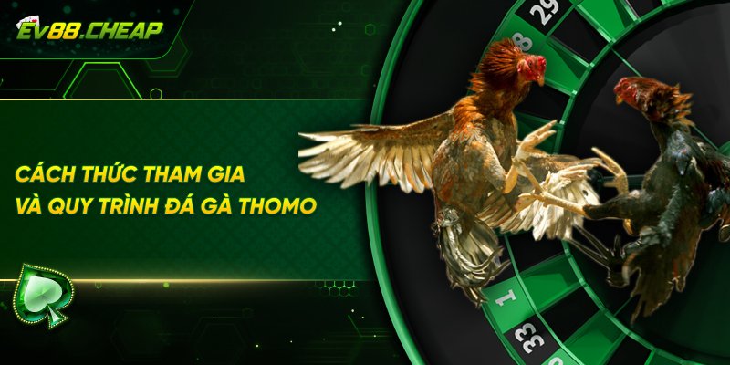 Hướng dẫn tham gia đá gà thomo